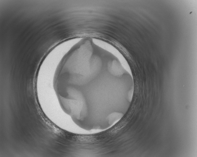 X0000071780856200607150053