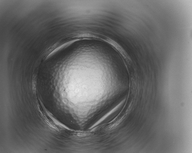 X0000071780857200607150053