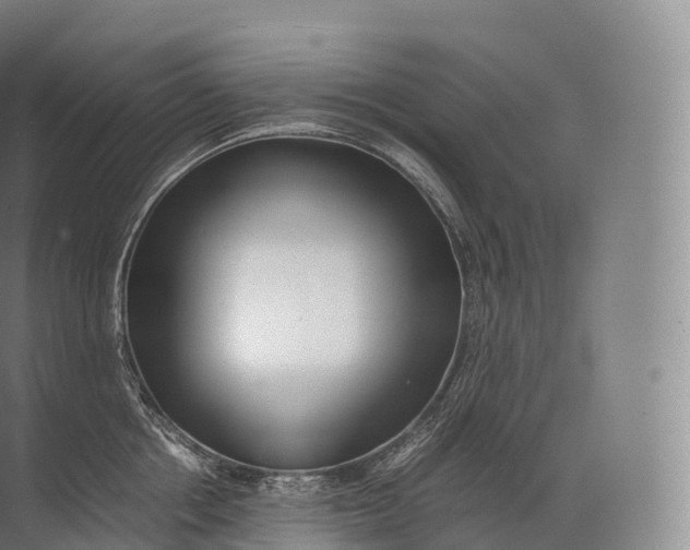 X0000071780858200607150053