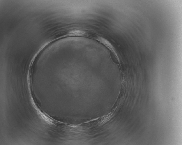 X0000071780859200607150053