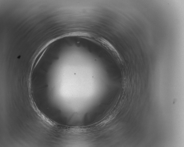 X0000071780860200607150053