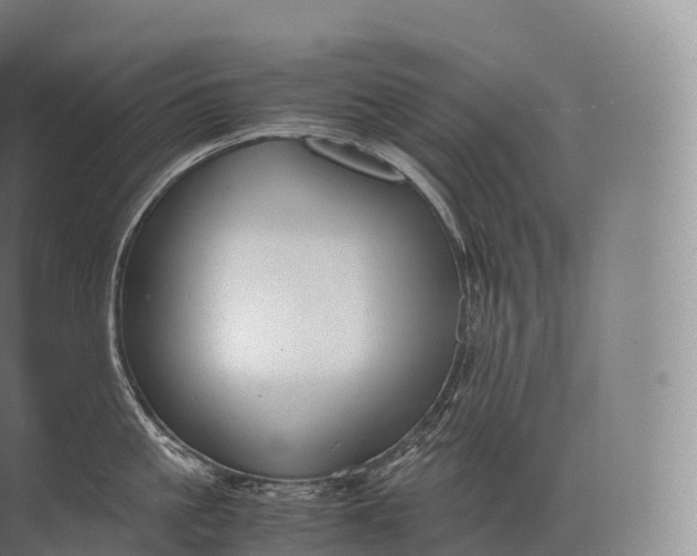 X0000071780861200607150053