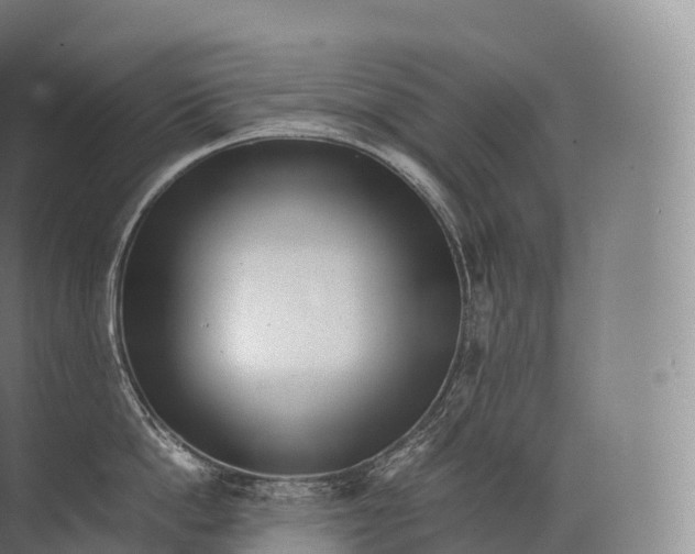 X0000071780862200607150053