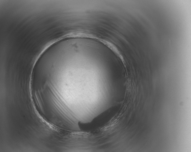 X0000071780863200607150053