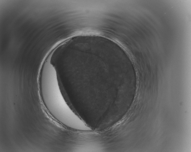 X0000071780864200607150053