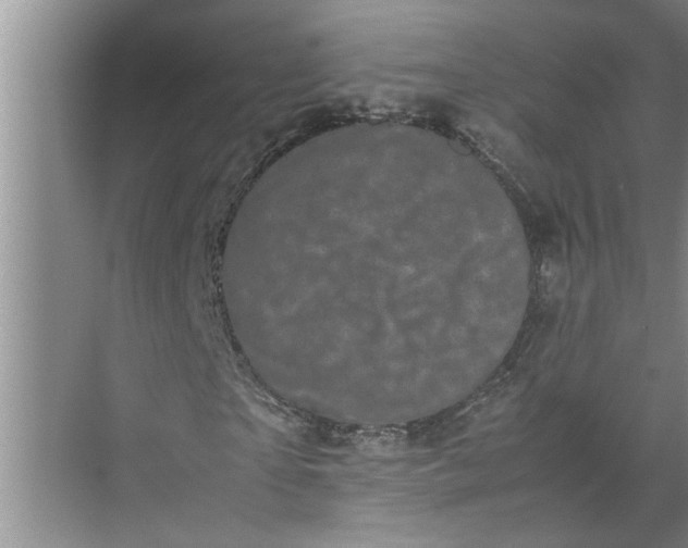 X0000071780865200607150052