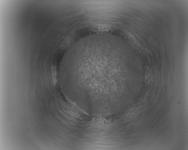 X0000071780866200607150052