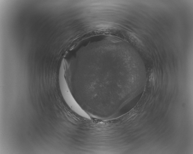 X0000071780868200607150052