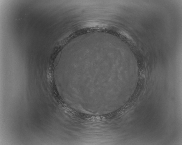 X0000071780869200607150052