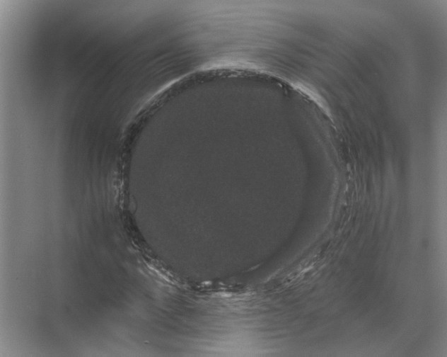 X0000071780872200607150052