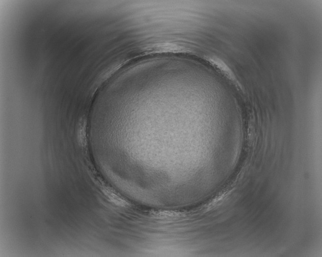 X0000071780873200607150052