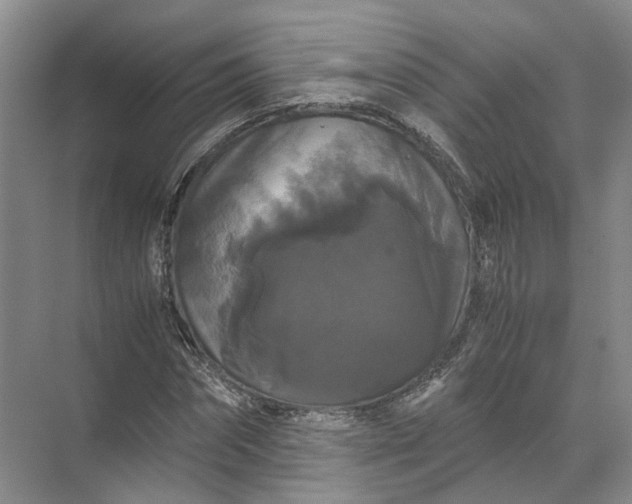 X0000071780874200607150052