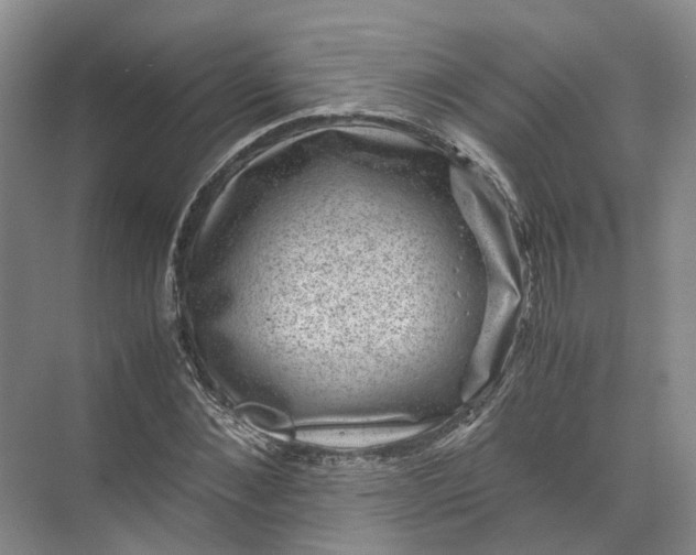 X0000071780876200607150052