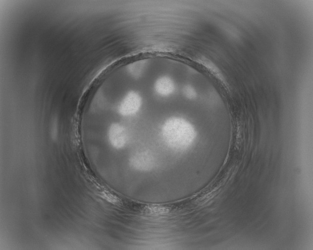 X0000071780878200607150052