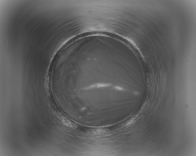 X0000071780879200607150052