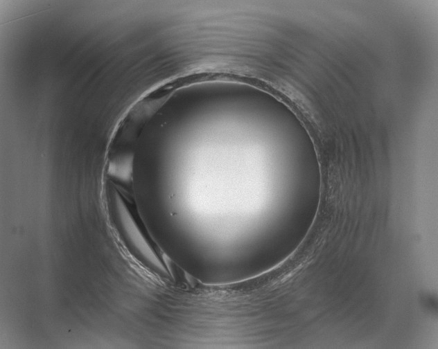 X0000071780880200607150052