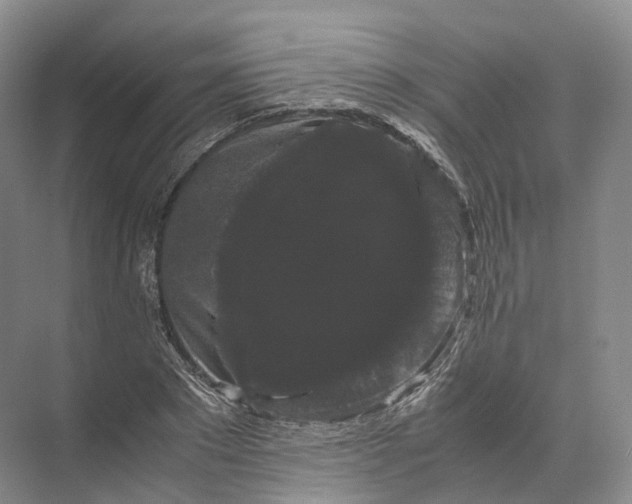 X0000071780881200607150052