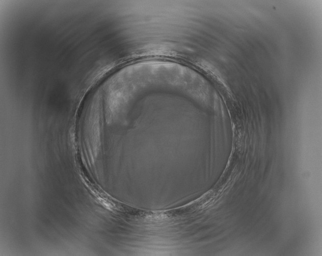 X0000071780882200607150052