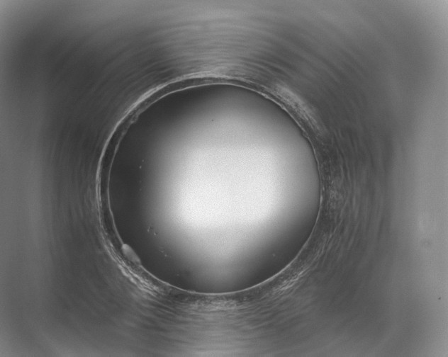 X0000071780884200607150052