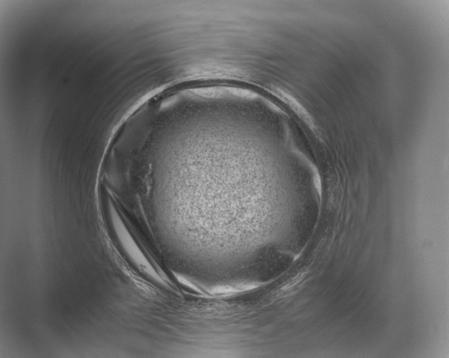 X0000071780885200607150052