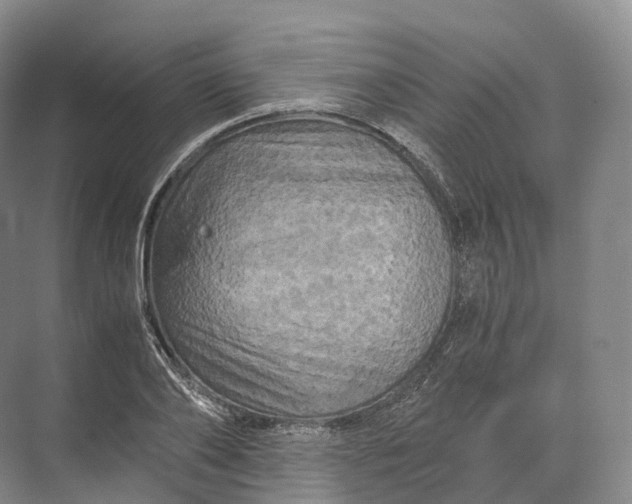 X0000071780886200607150052