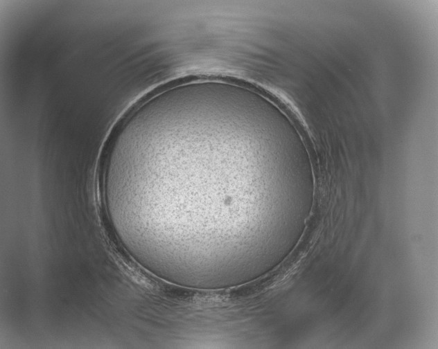 X0000071780887200607150052