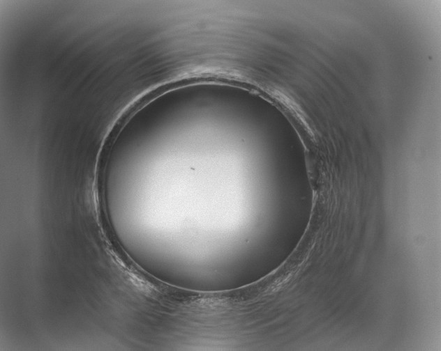 X0000071780888200607150052