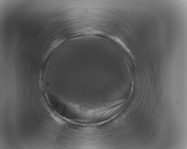 X0000071780889200607150052