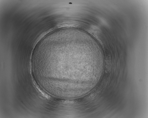 X0000071780890200607150052