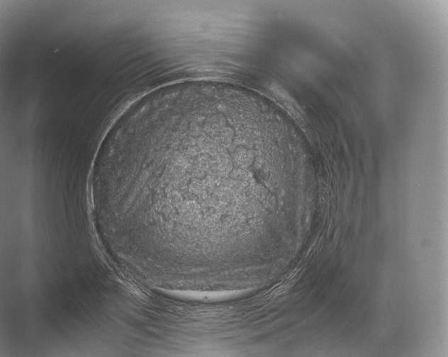 X0000071780891200607150052