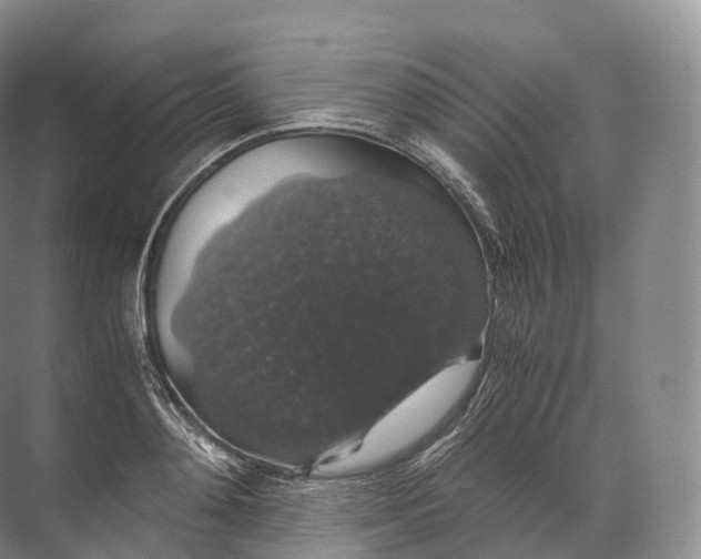 X0000071780892200607150052