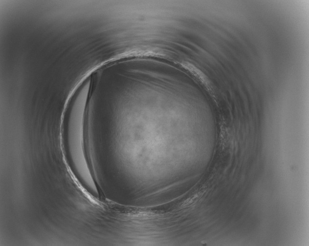 X0000071780894200607150052