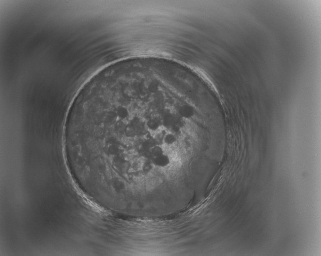 X0000071780895200607150052