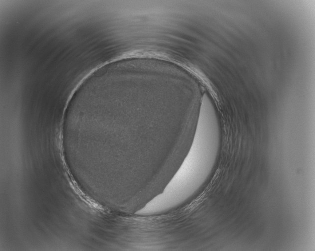 X0000071780896200607150052