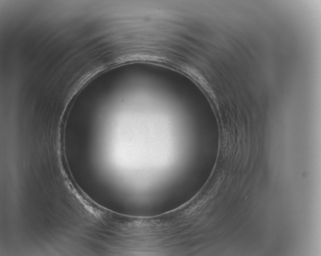 X0000071780898200607150052