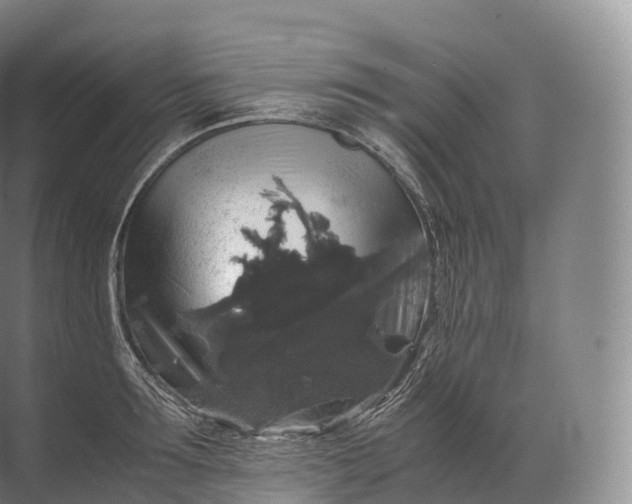 X0000071780899200607150052