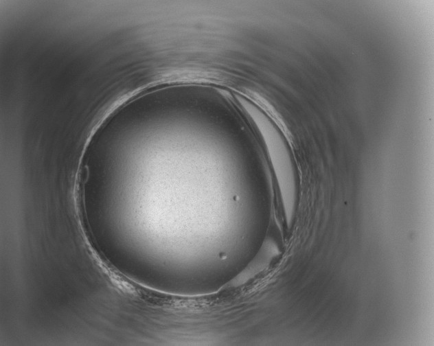 X0000071780901200607150052