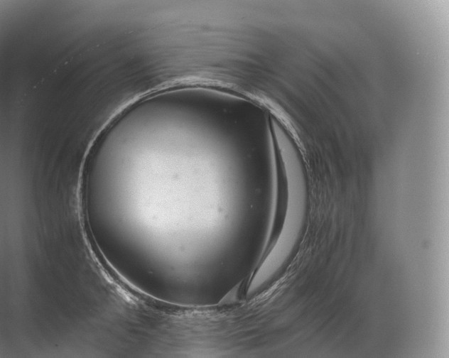 X0000071780902200607150052