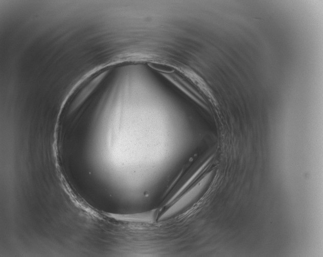 X0000071780904200607150052