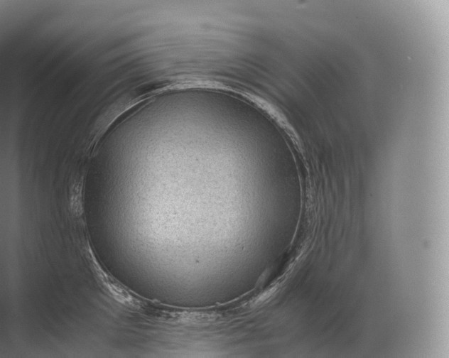 X0000071780905200607150052