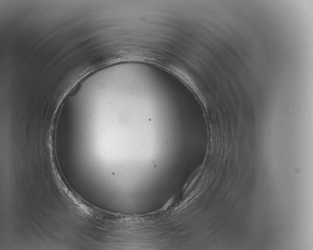 X0000071780906200607150052