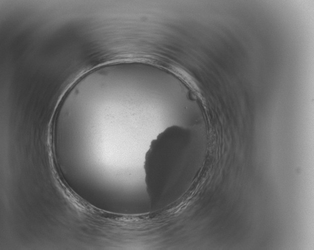 X0000071780907200607150052