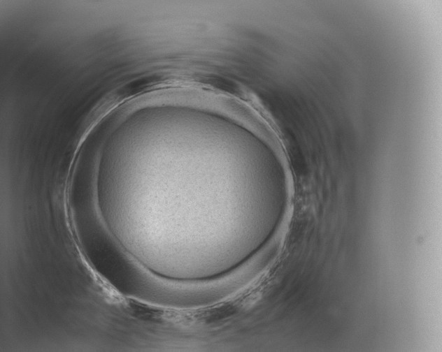 X0000071780909200607150052