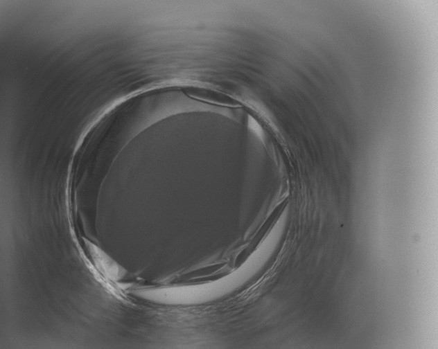 X0000071780910200607150051