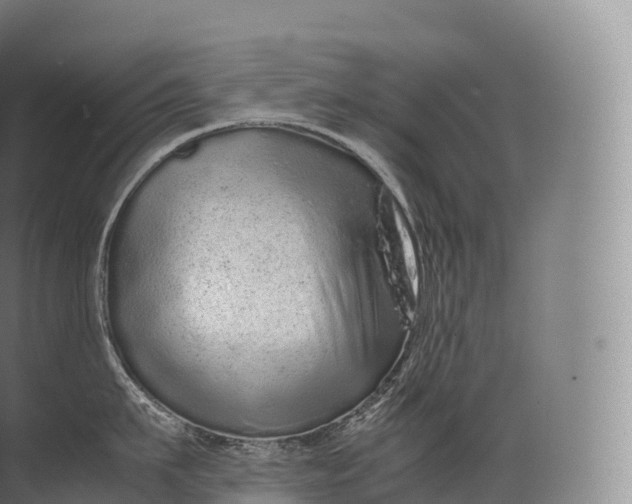 X0000071780911200607150051