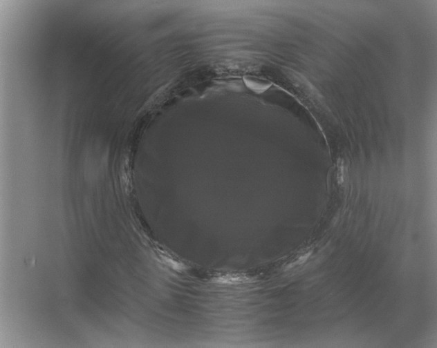 X0000071780915200607150051