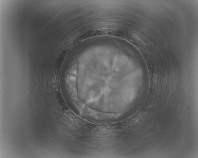 X0000071780917200607150051