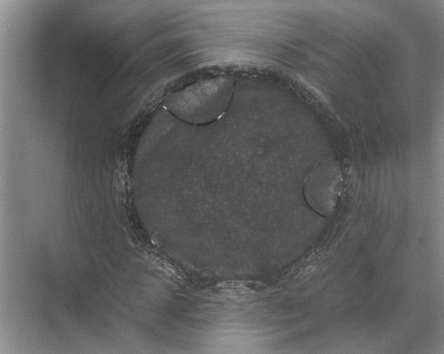 X0000071780918200607150051