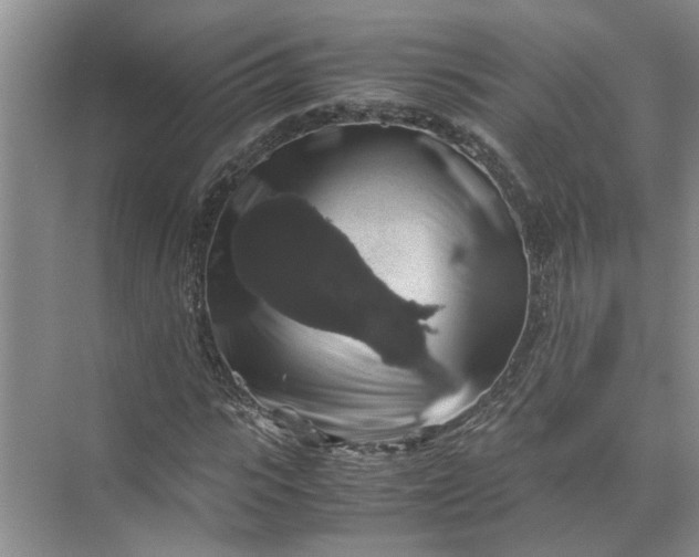 X0000071780919200607150051