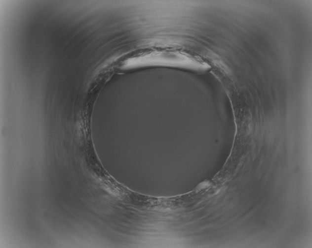 X0000071780920200607150051